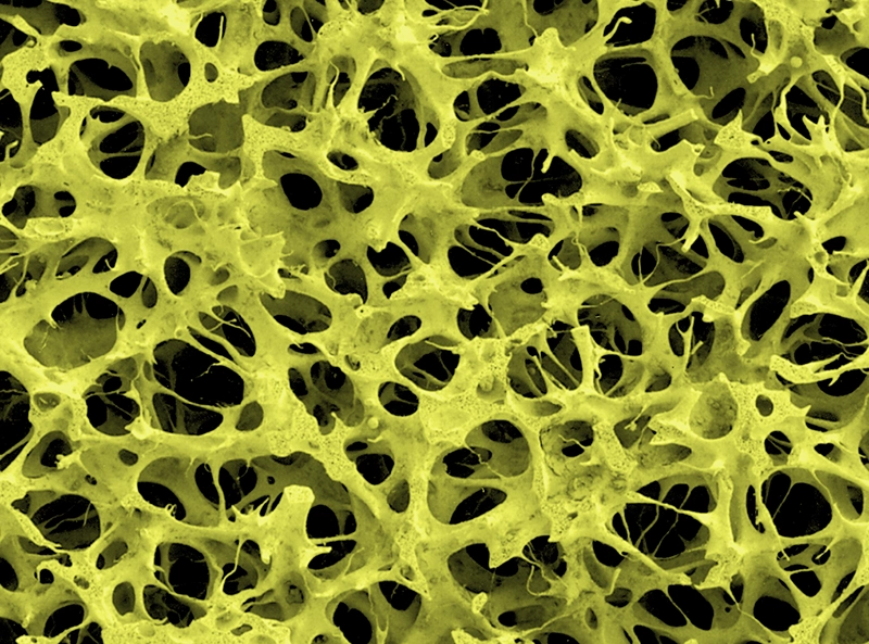 bodegón de gamuzas aion plas chamois